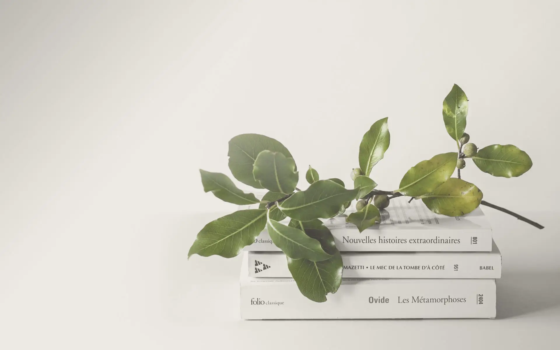 A new digital adventure for BnL.